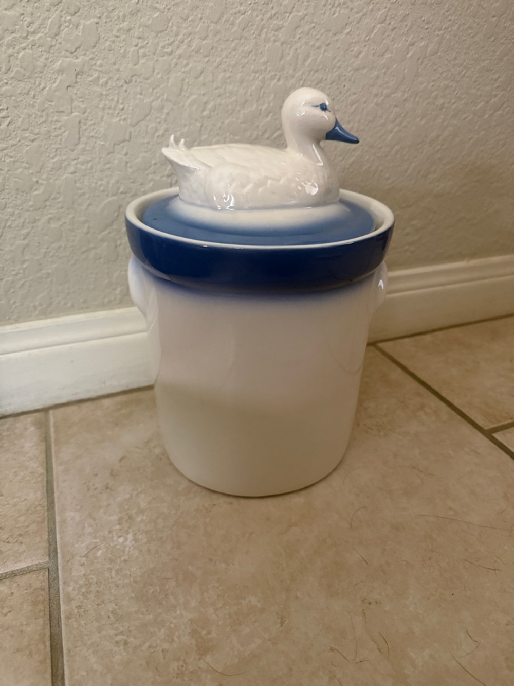 White and Blue Ceramic Duck Lidded Canister